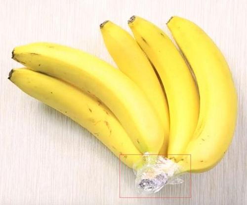 印尼巴士模拟器国产车辆模组 