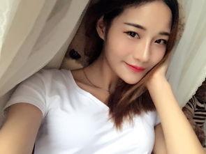 印尼巴士模拟器国产车辆模组 